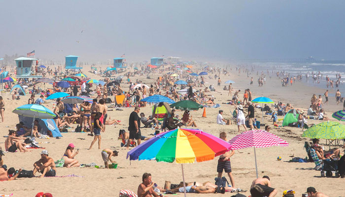 সূর্যের আলো করোনারোধে কতটা জরুরি?